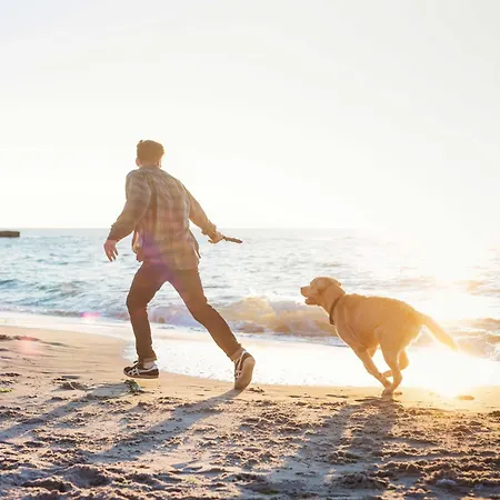 Lägenhet Kleine Strandperle - Ihr Ferienapartment Zwischen Ostsee Und Bodden *